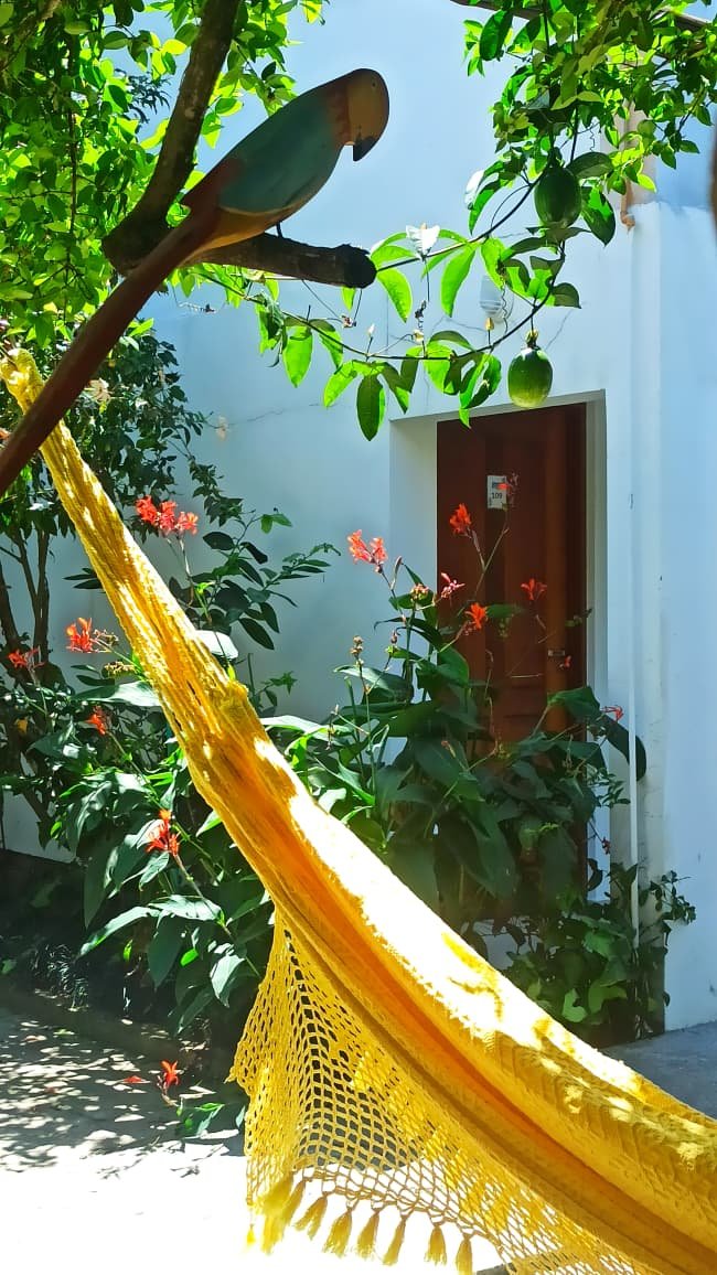 Hotel Natur Campeche - Foto 106